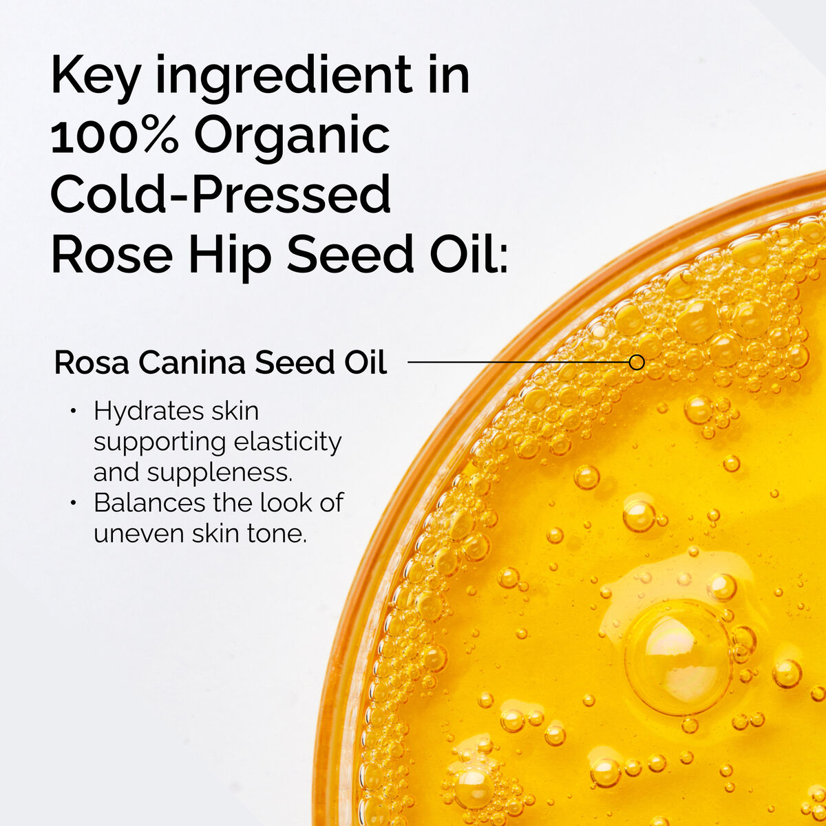 100-organic-cold-pressed-rose-hip-seed-oil-p3 FY25-D41247-ORD-Web-PDP-100-Rose-Hip-Oil-1x1-EN-2.jpg