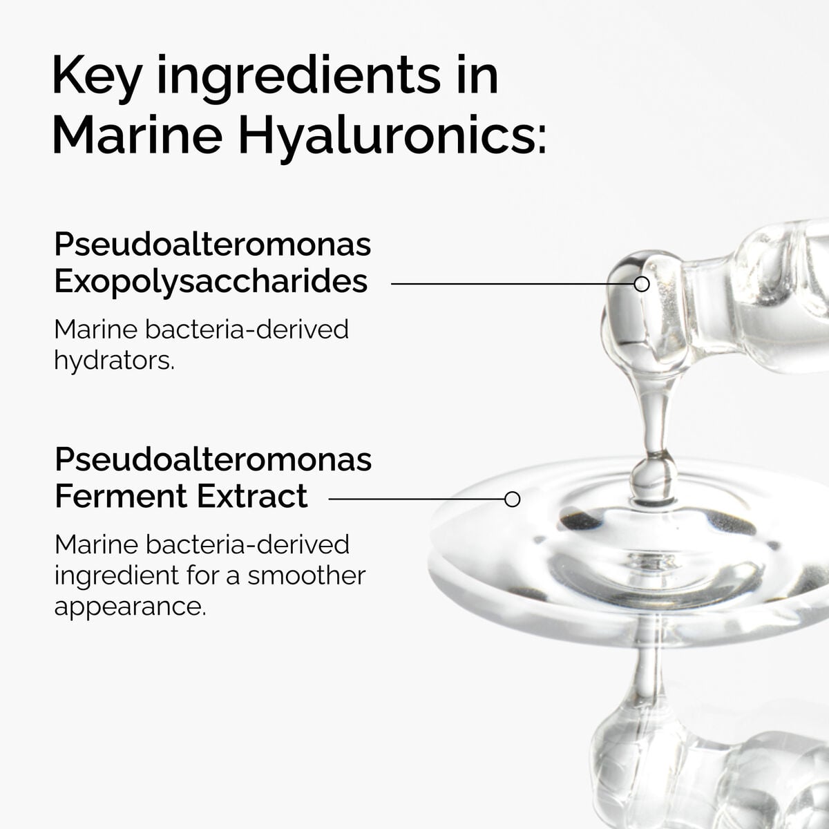 marine-hyaluronics-p6 FY25-D41247-ORD-Web-PDP-Marine-Hya-1x1-EN-2a.jpg