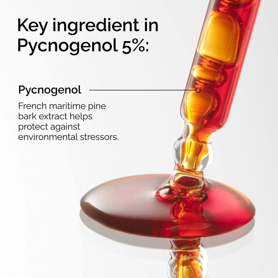 pycnogenol-5-t2 FY25-D41247-ORD-Web-PDP-Pyc-5pct-1x1-EN-2a.jpg