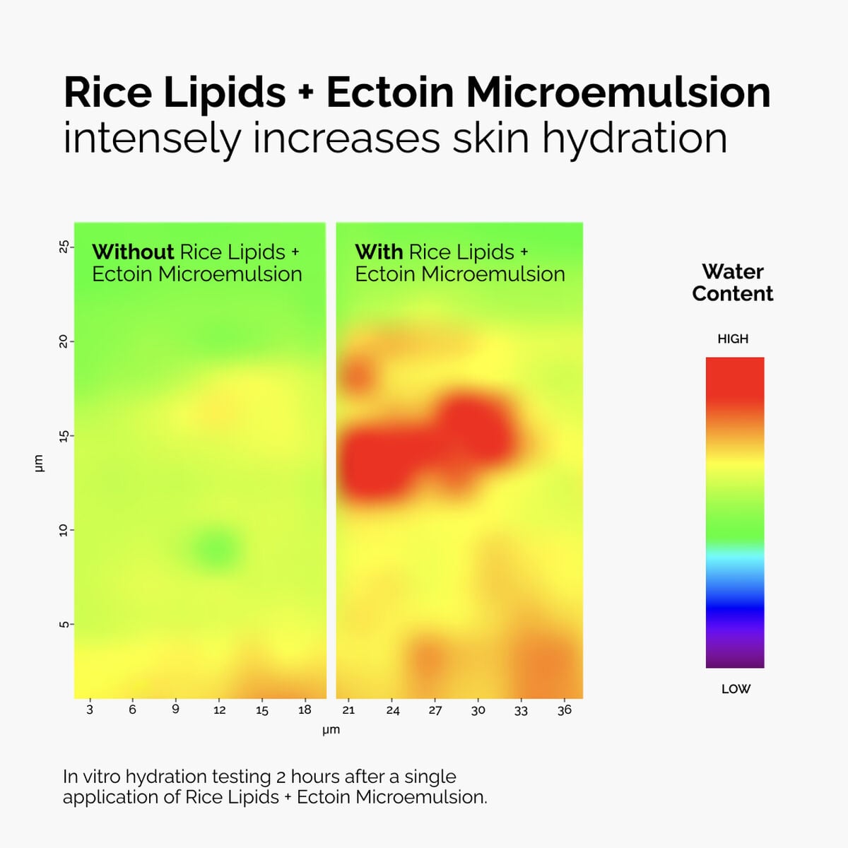 rice-lipids-ectoin-microemulsion-h1 ord-rice-lipids-ectoin-microemulsion-thermal-before-after.jpg